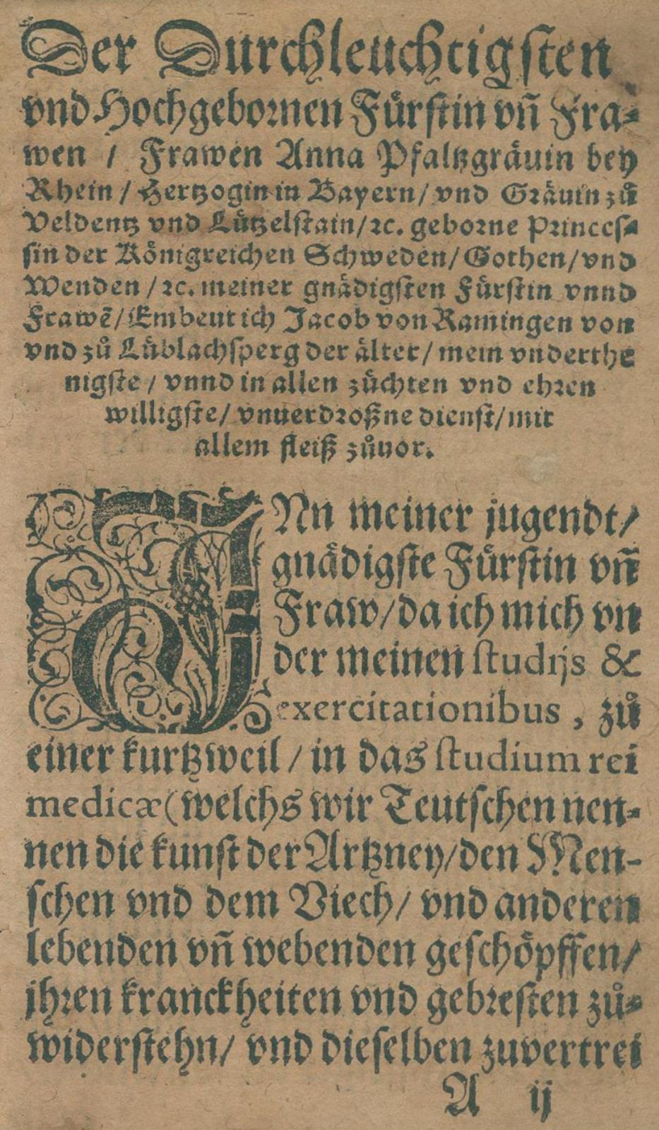 Ramingen,J.v. | Bild Nr.2