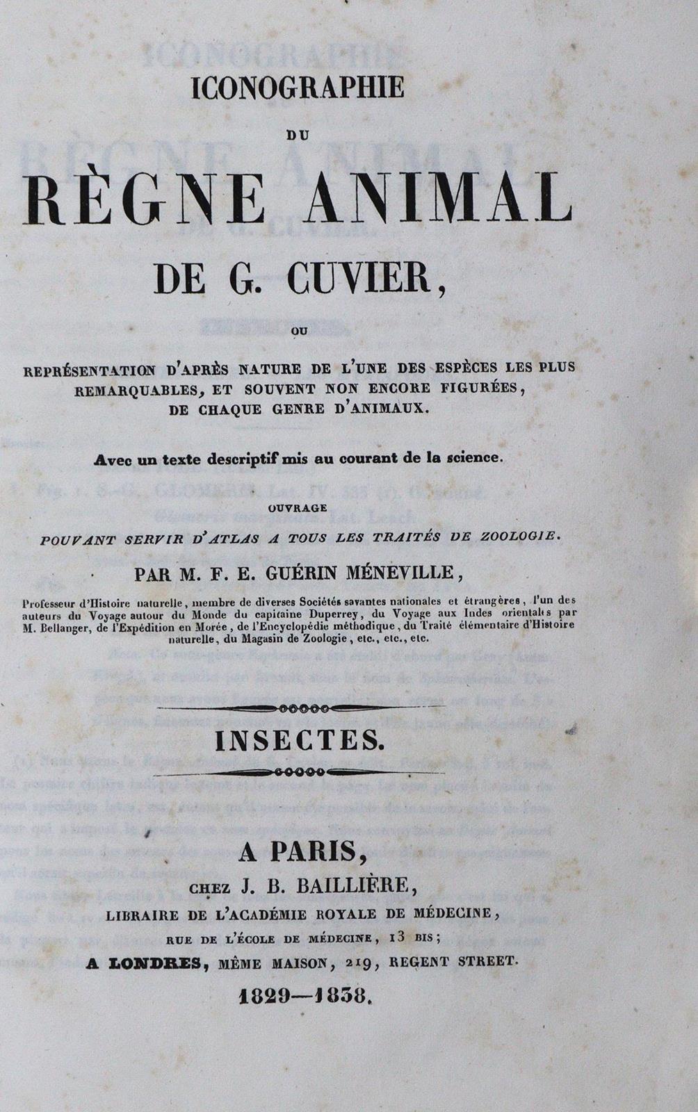 Cuvier,G. | Bild Nr.1