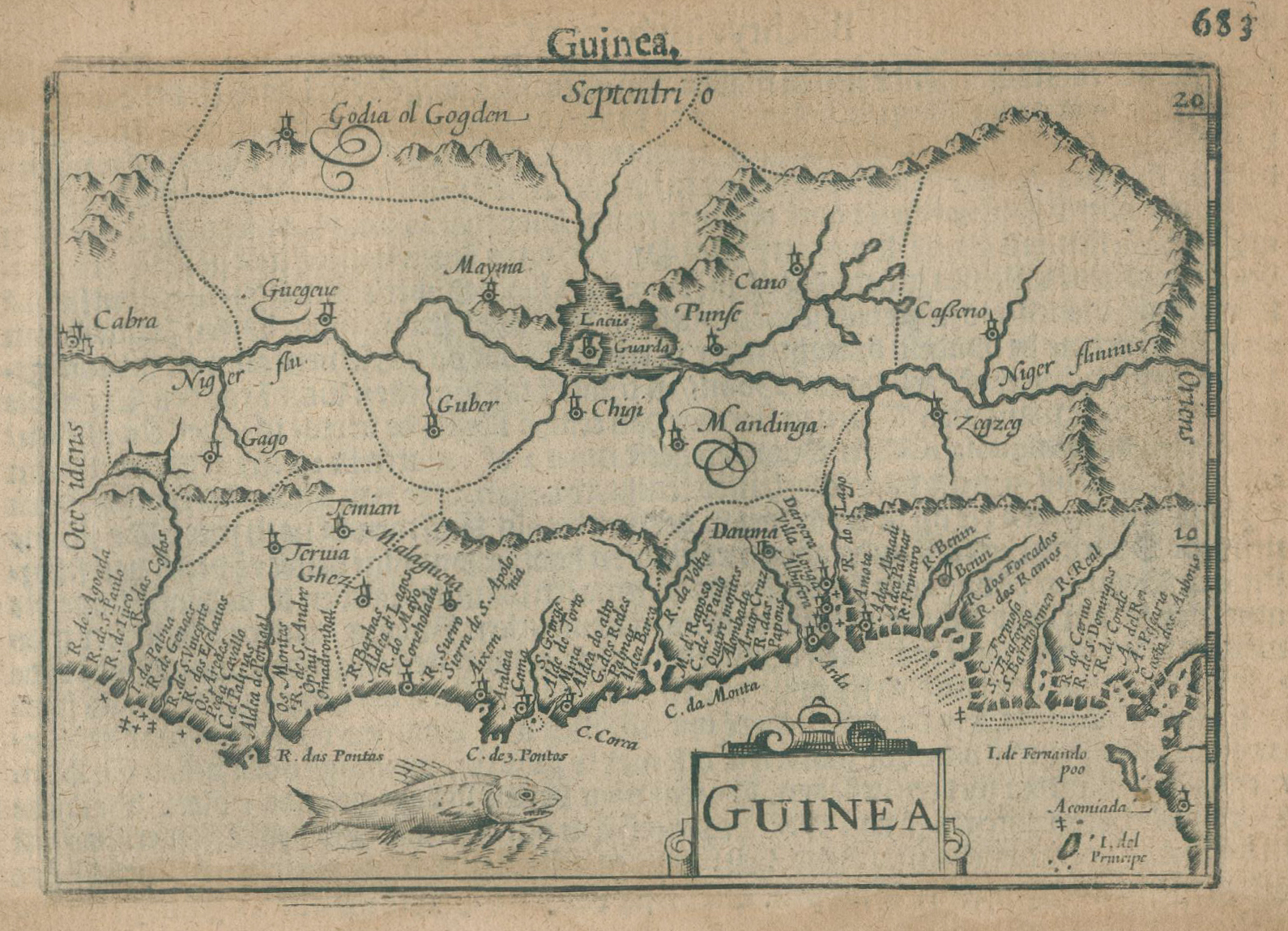 Guinea. | Bild Nr.1