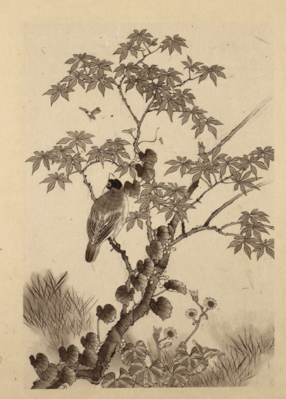 Vögel u. Pflanzen. | Bild Nr.1