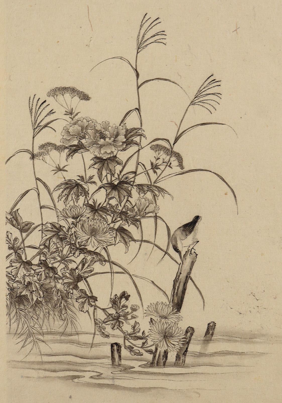 Vögel u. Pflanzen. | Bild Nr.2