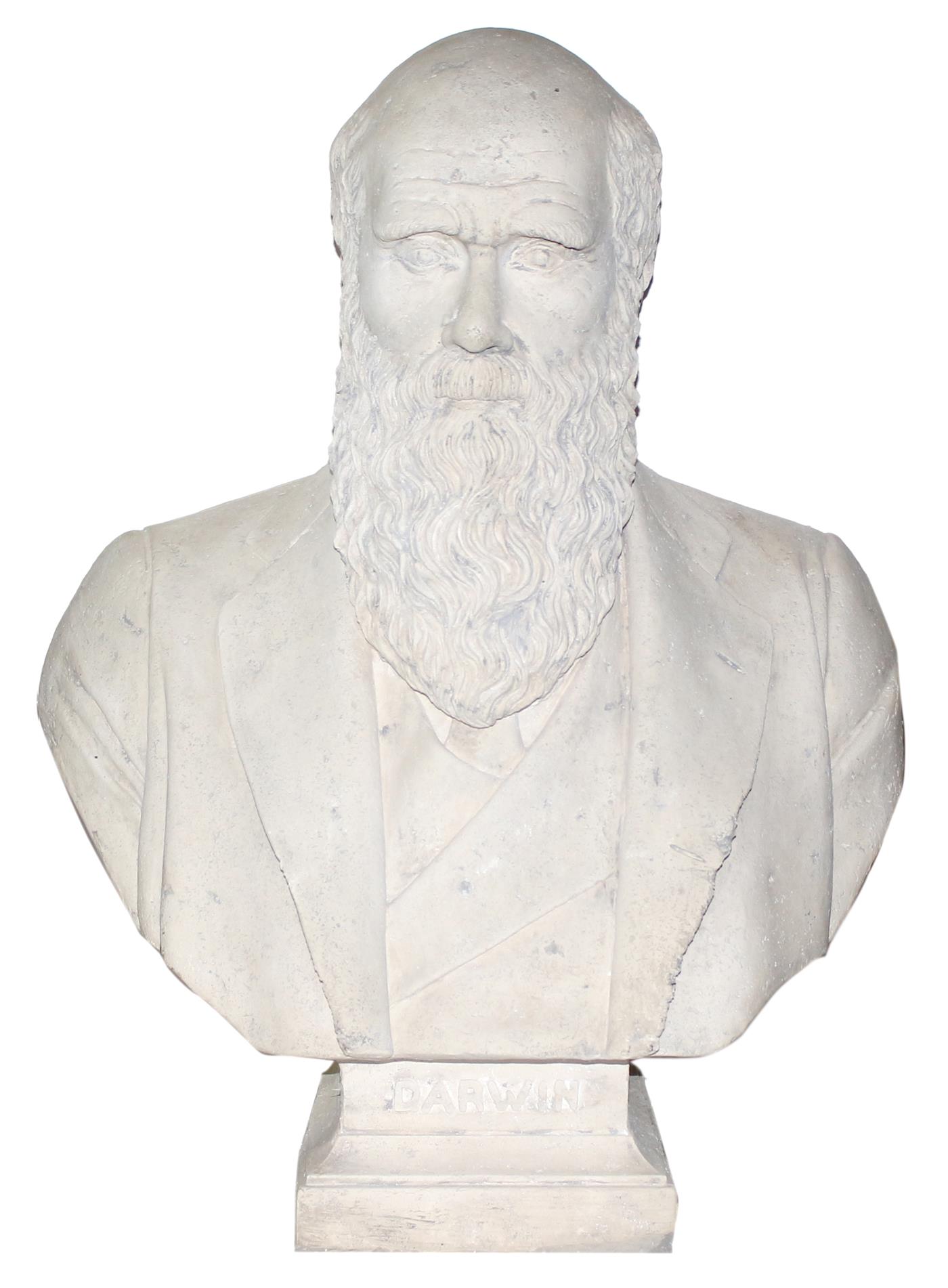 Darwin, Charles. | Bild Nr.1