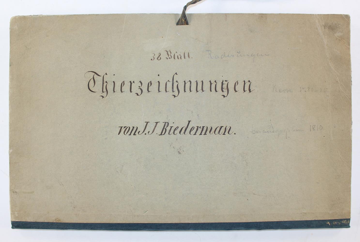 Biedermann, Johann Jakob | Bild Nr.3