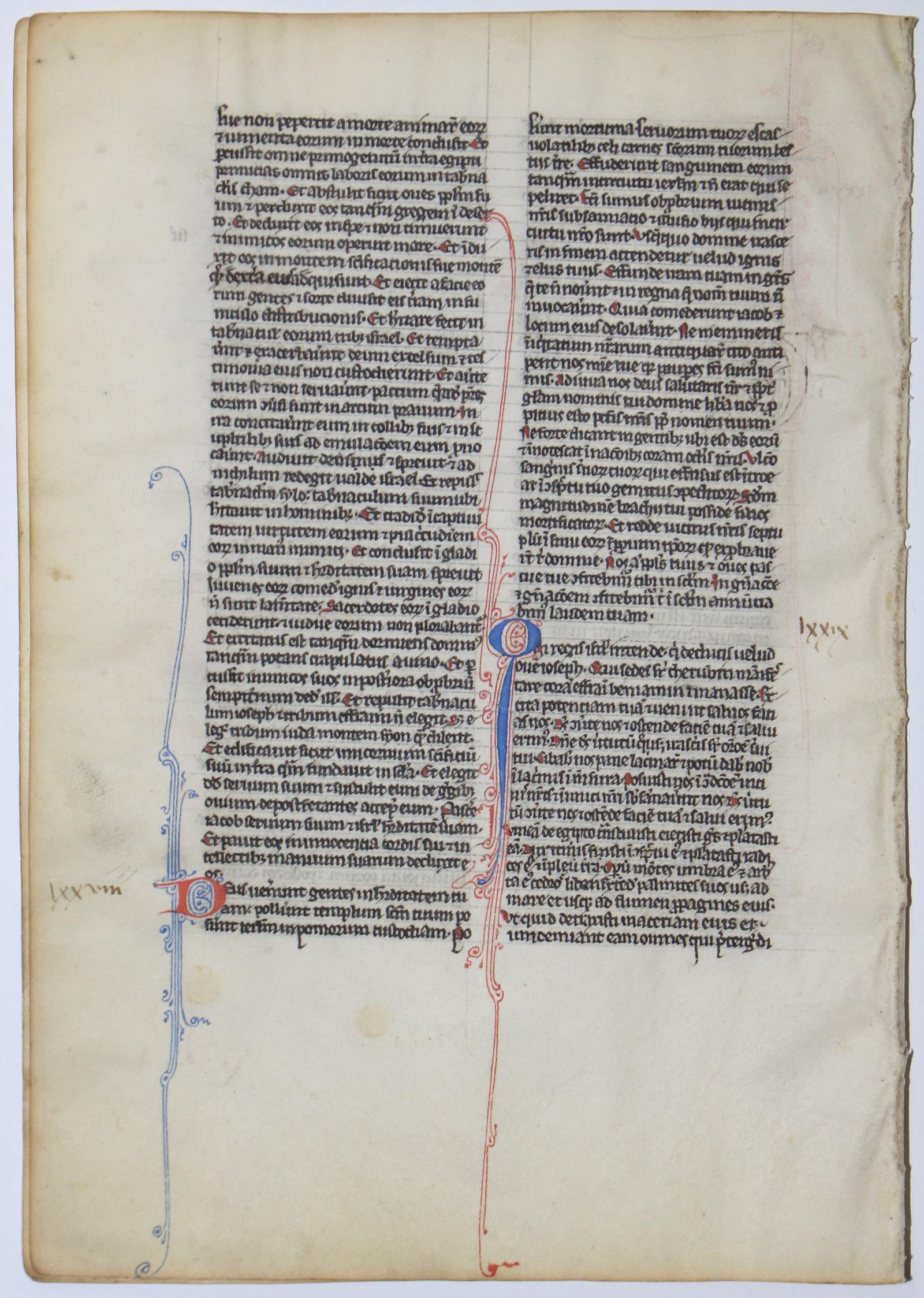 Biblia latina. | Bild Nr.4