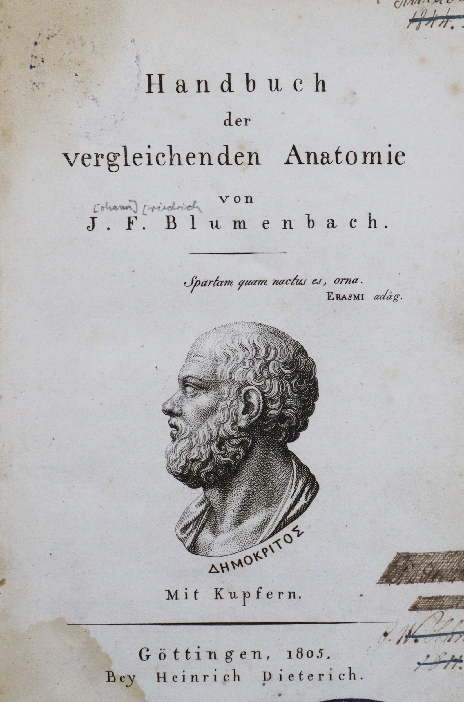 Blumenbach,J.F. | Bild Nr.1