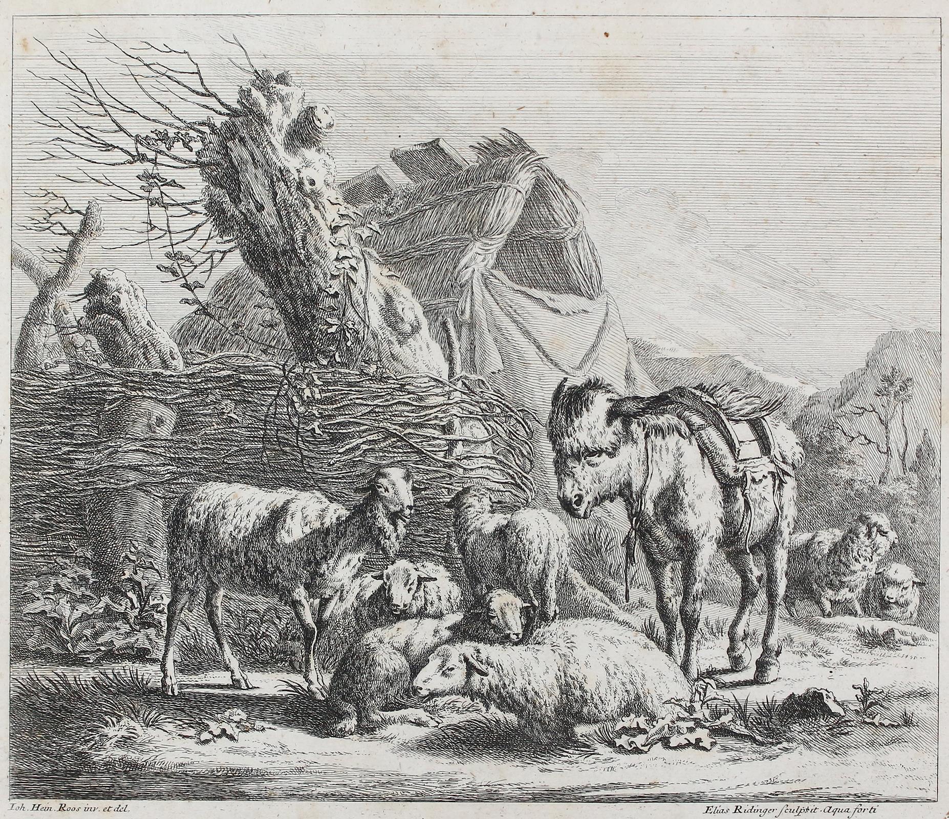 Roos, Johann Heinrich | Bild Nr.1