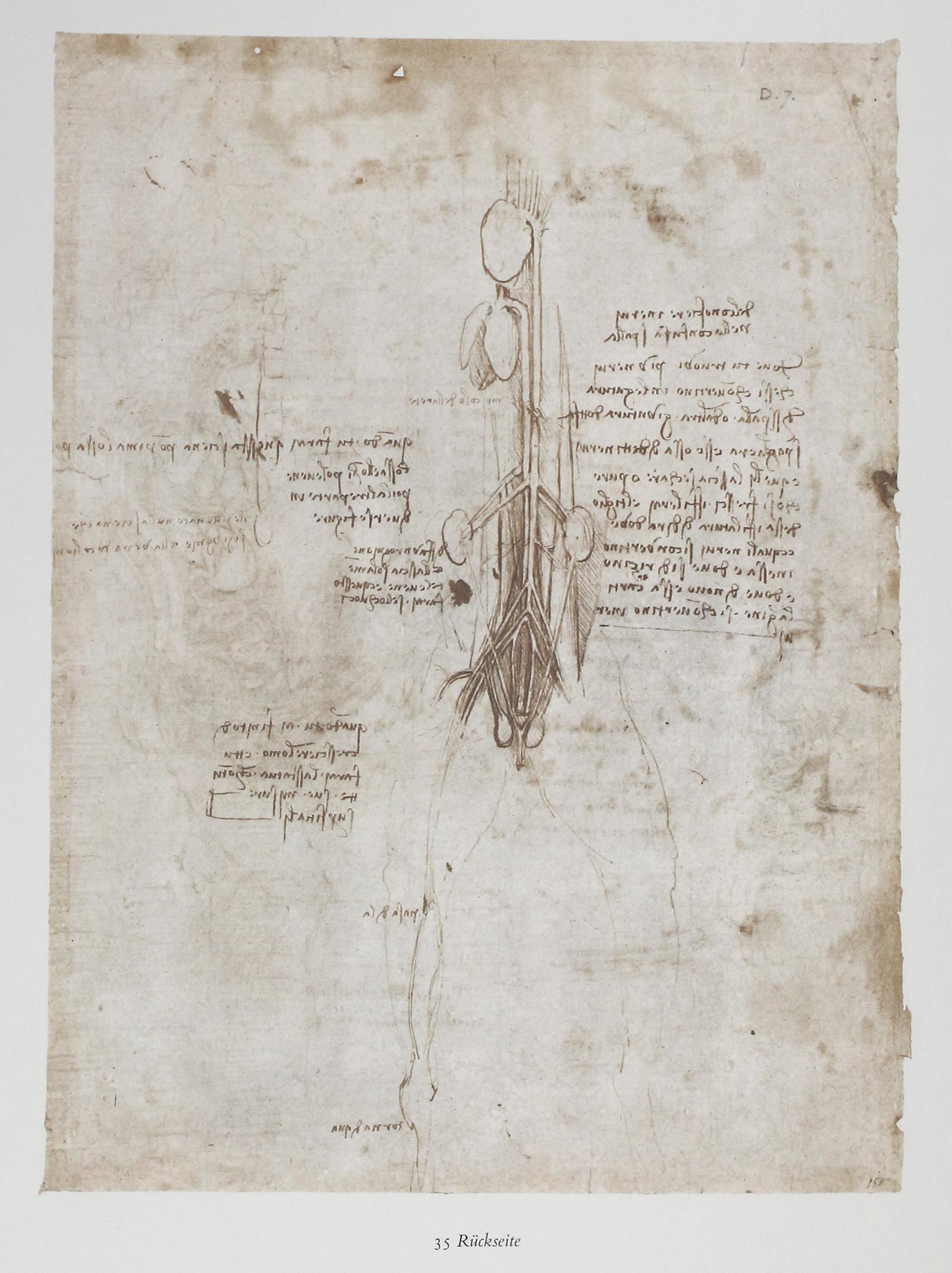 Leonardo da Vinci. | Bild Nr.2