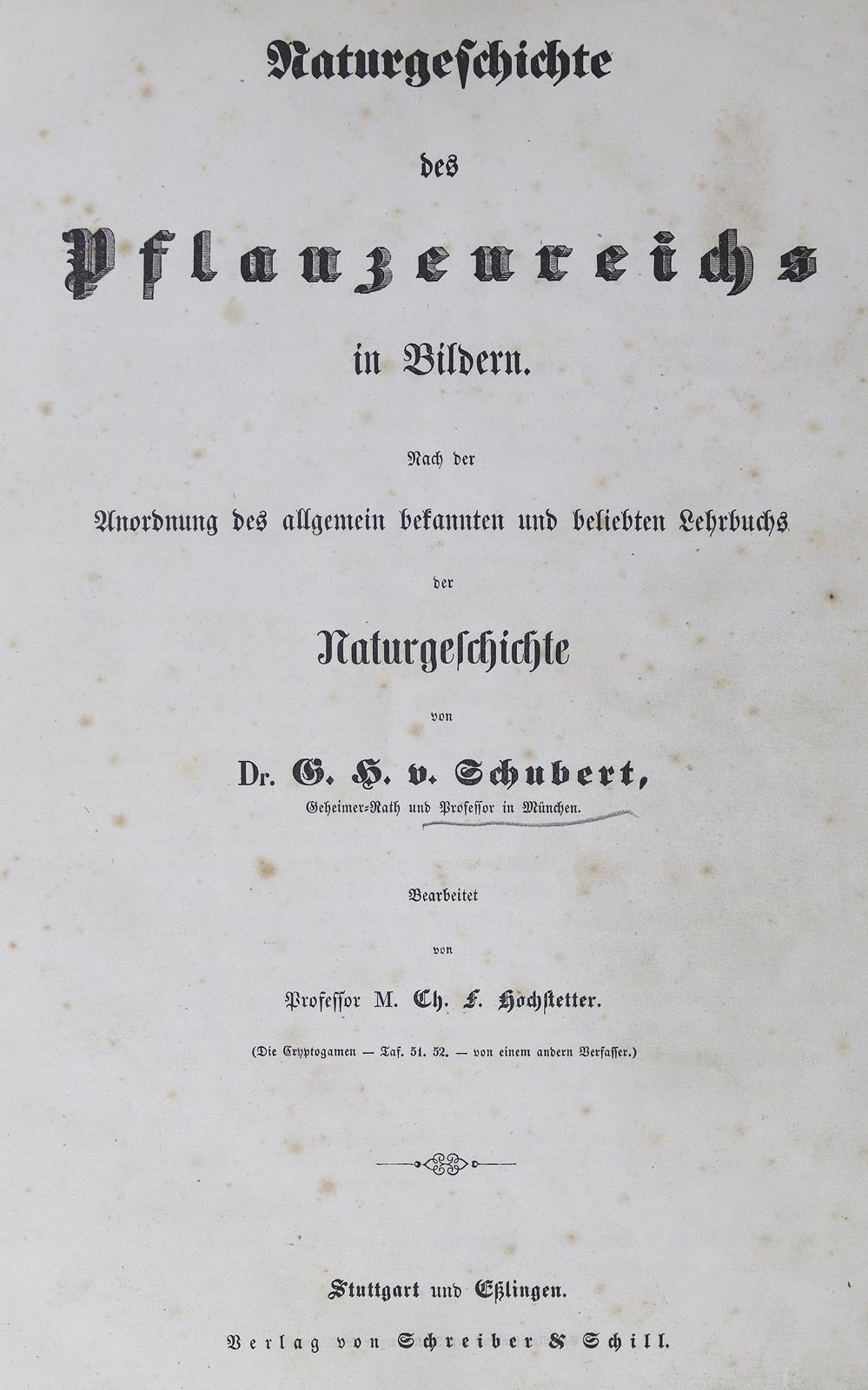 Schubert,H.H.v. u. C.F.Hochstetter. | Bild Nr.1
