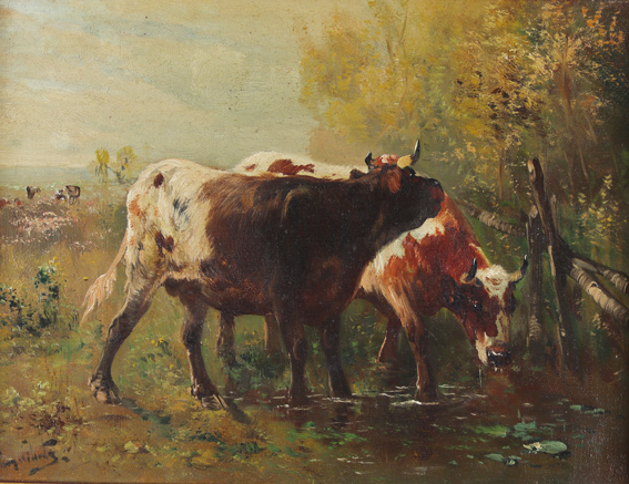 Kühe am Bachlauf. | Bild Nr.1