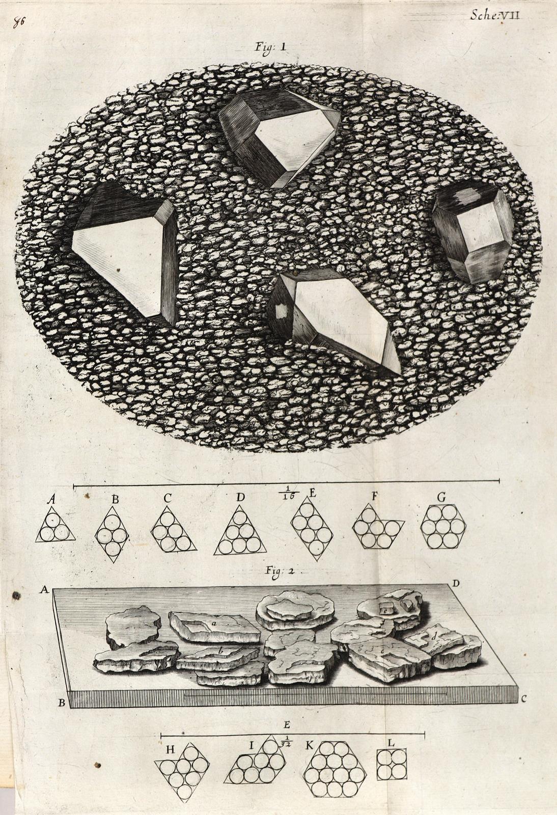 Hooke,R. | Bild Nr.10