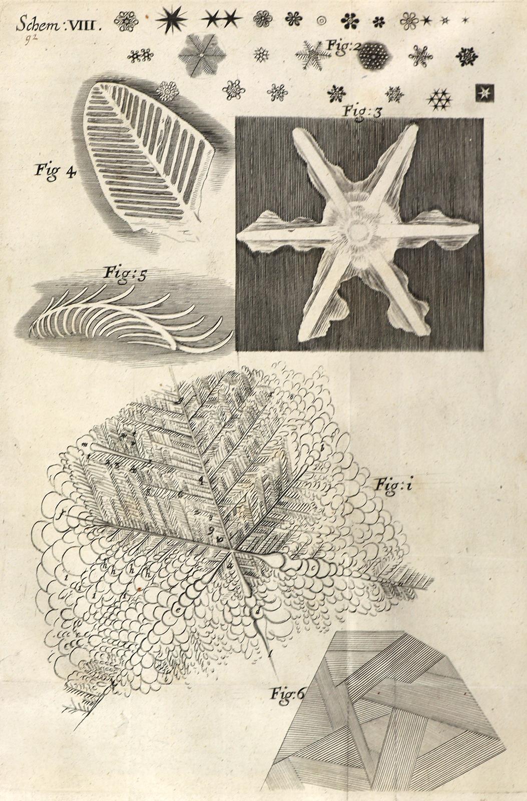 Hooke,R. | Bild Nr.11