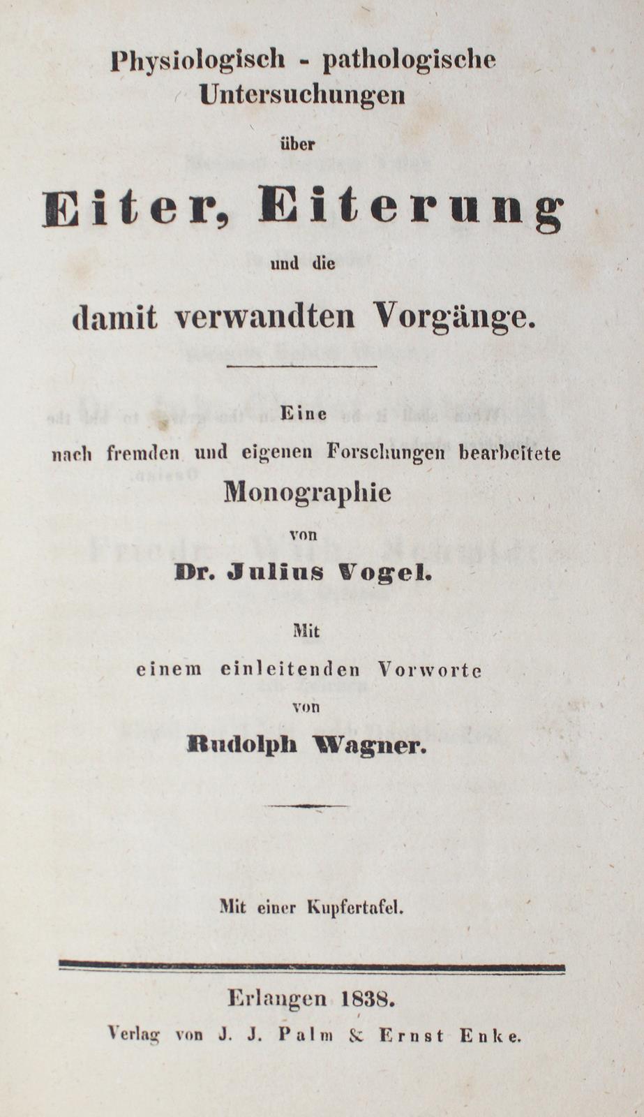 Vogel,J. | Bild Nr.1