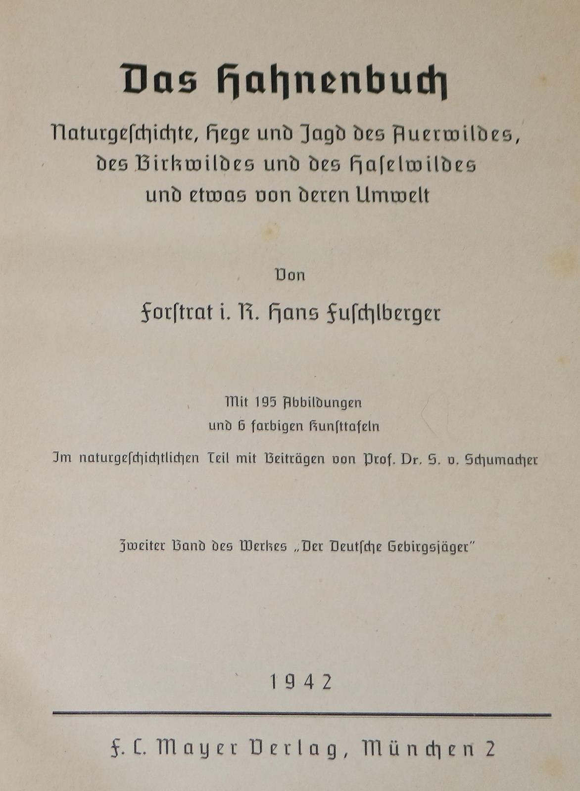 Fuschlberger,H. | Bild Nr.2