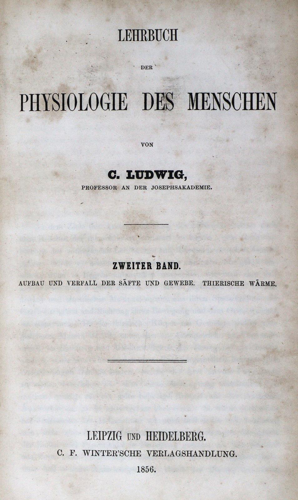 Ludwig,C. | Bild Nr.2