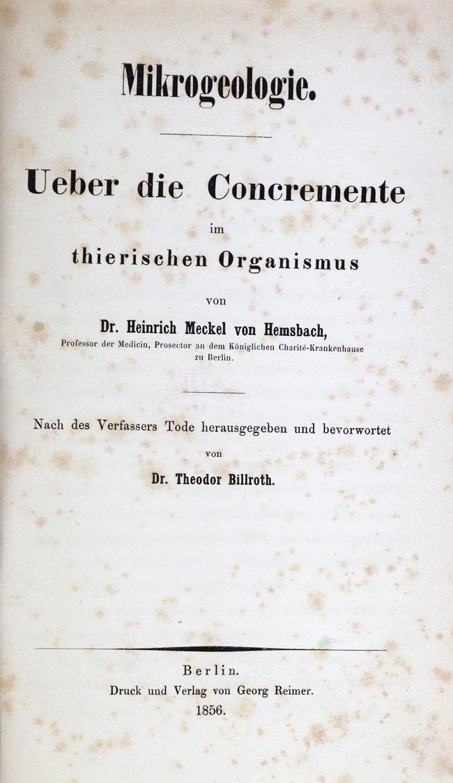 Meckel von Hemsbach,H. | Bild Nr.1