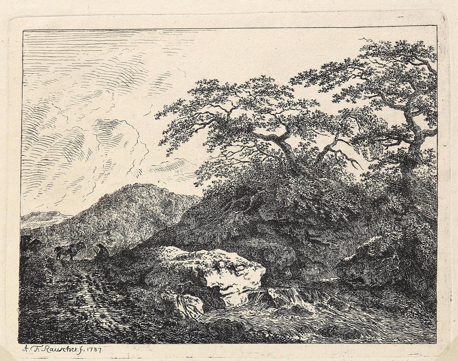 Rauscher, Johann August Friedrich | Bild Nr.1