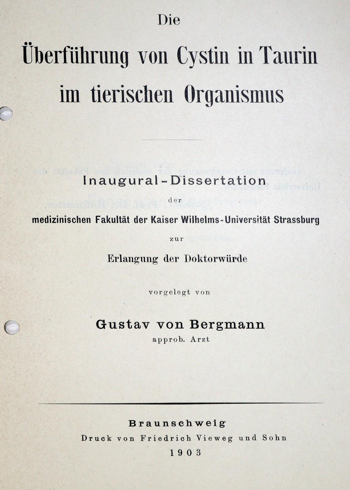 Bergmann,G.v. | Bild Nr.1