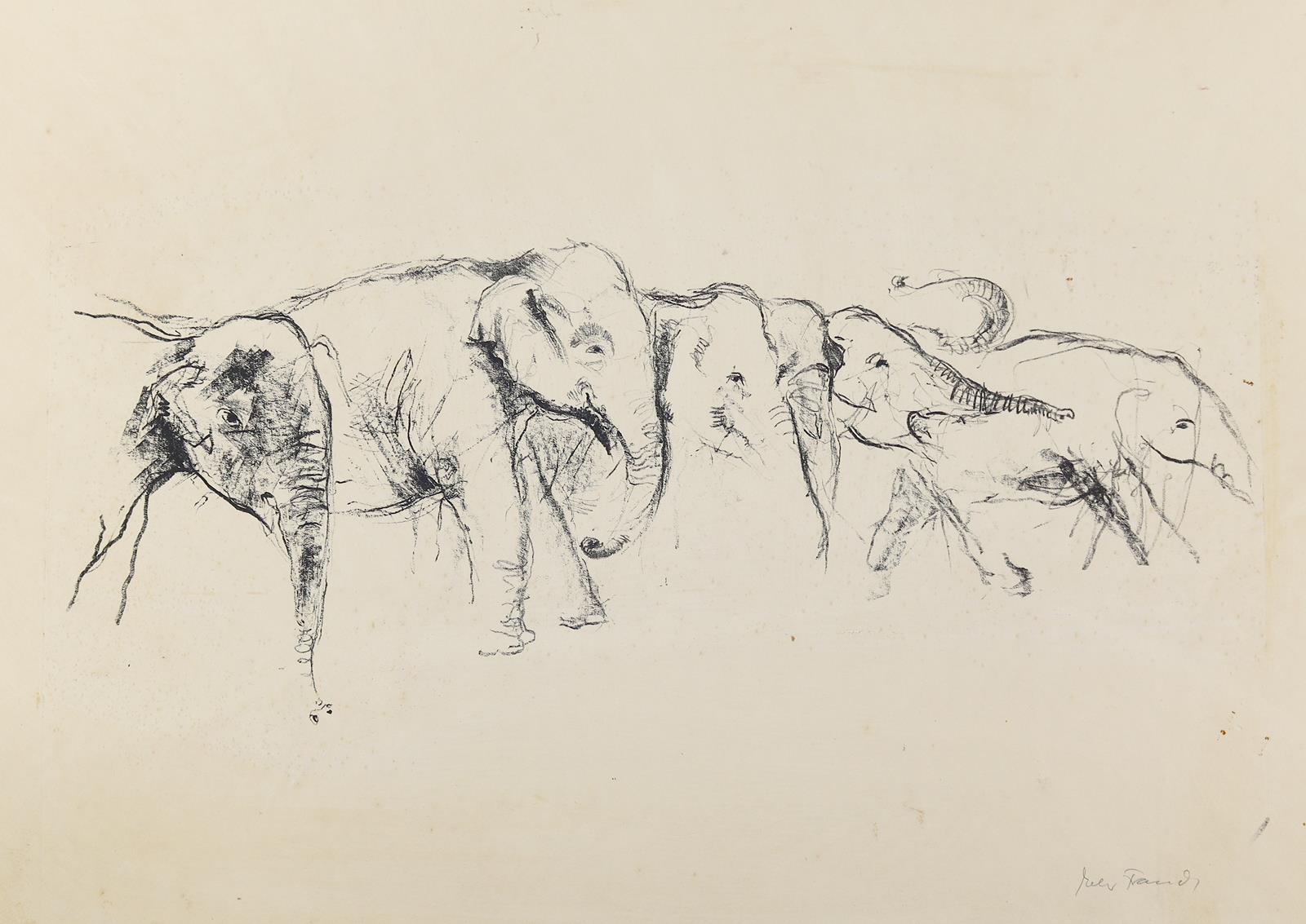 Elefanten. | Bild Nr.1