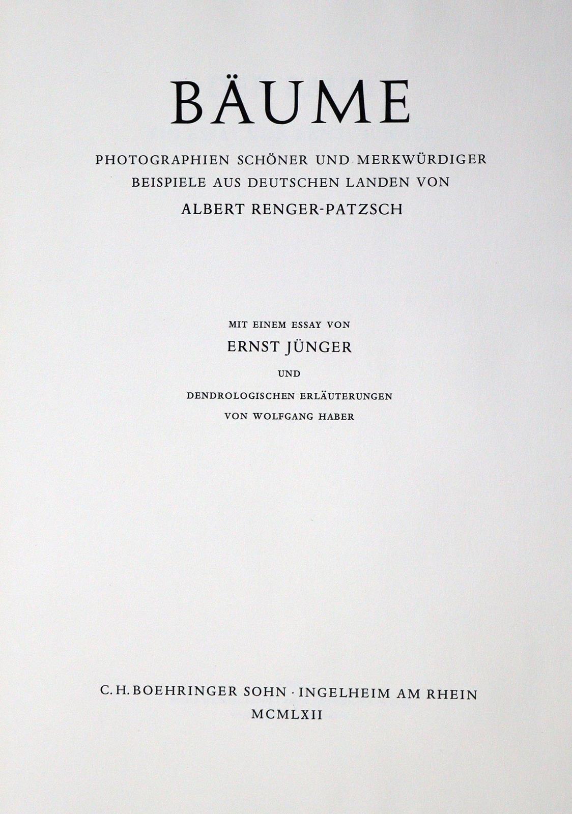 Renger-Patzsch,A. | Bild Nr.2