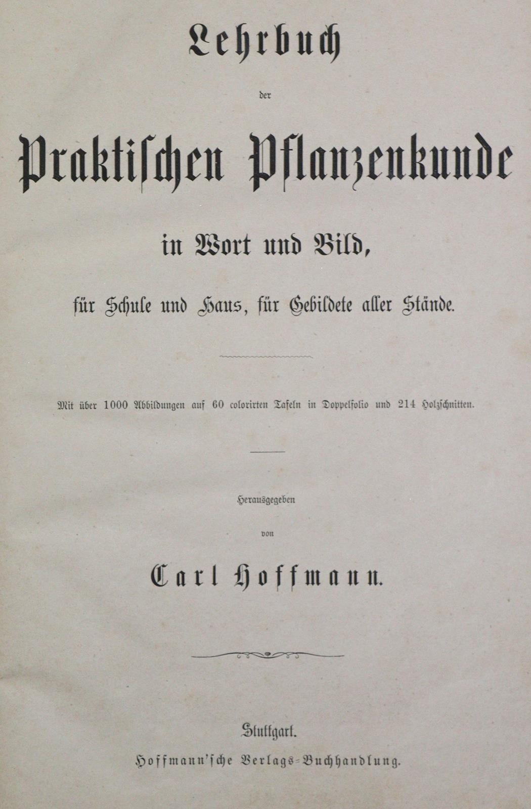 Hoffmann,C. | Bild Nr.4
