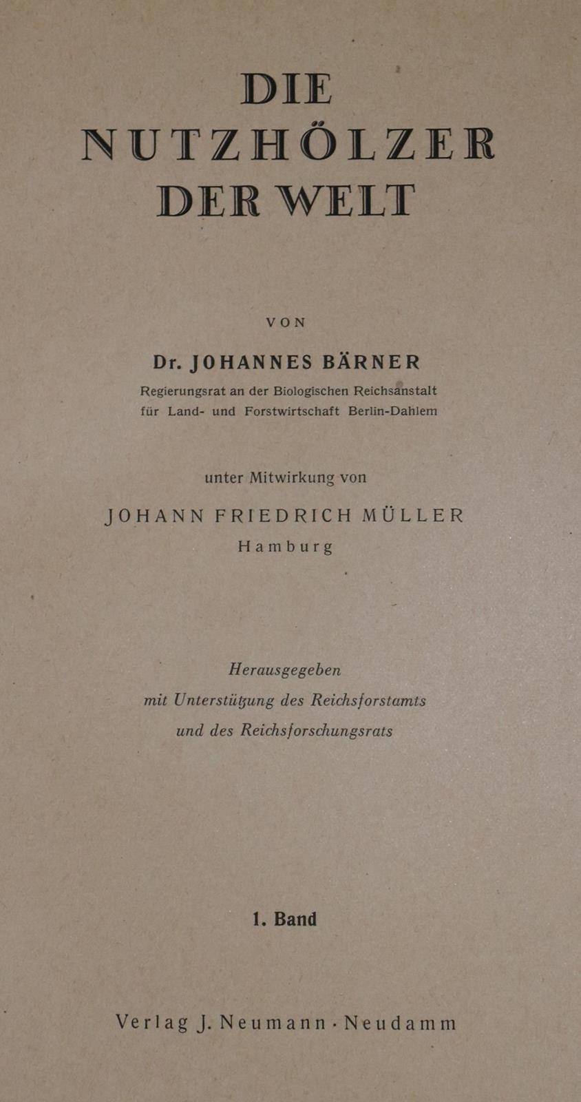 Bärner,J. | Bild Nr.1
