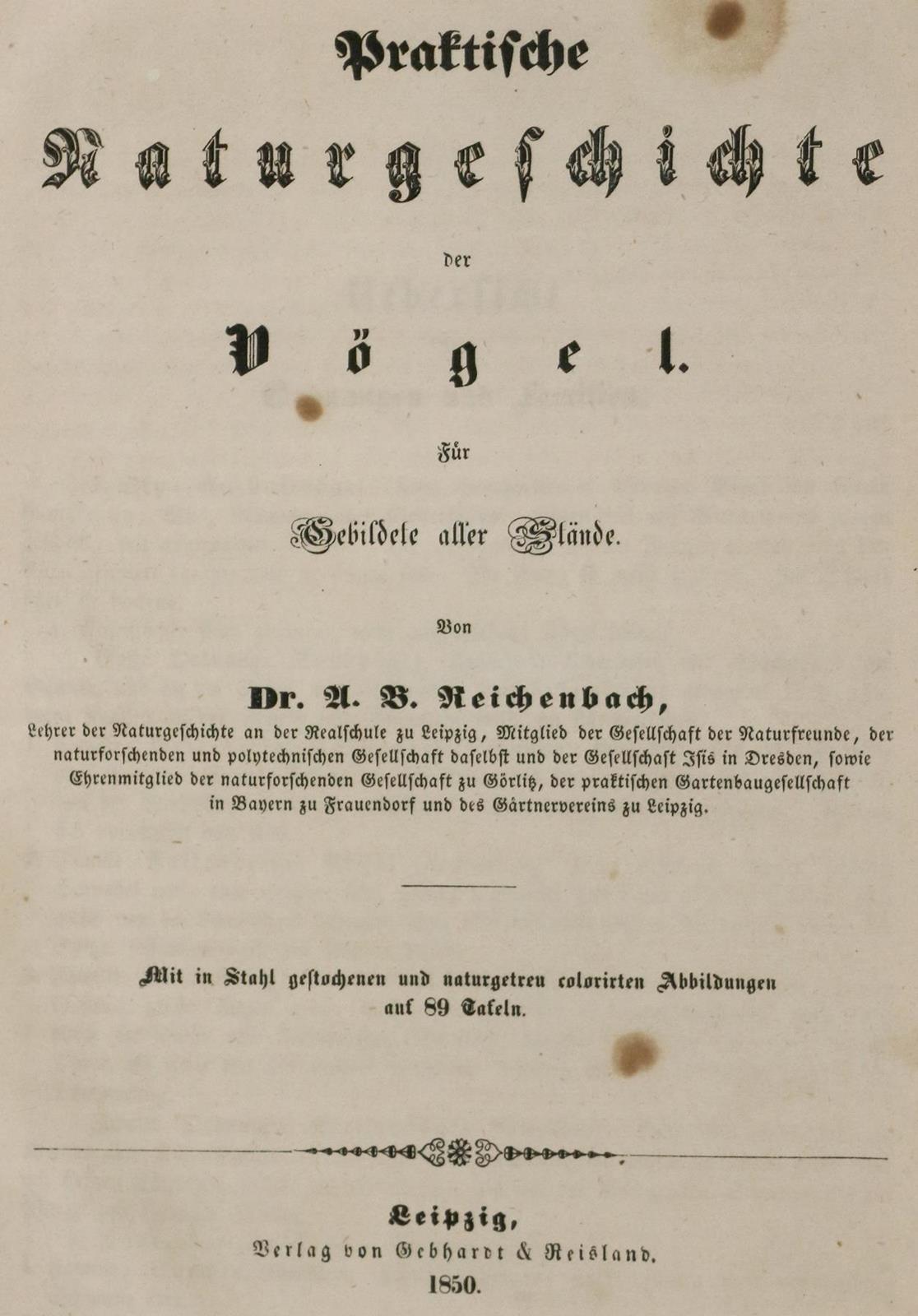 Reichenbach,A.B. | Bild Nr.1