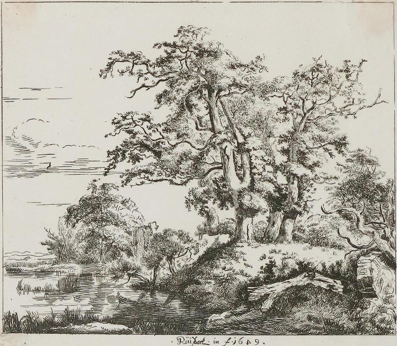 Ruisdael, Jacob Isaackszoon | Bild Nr.1