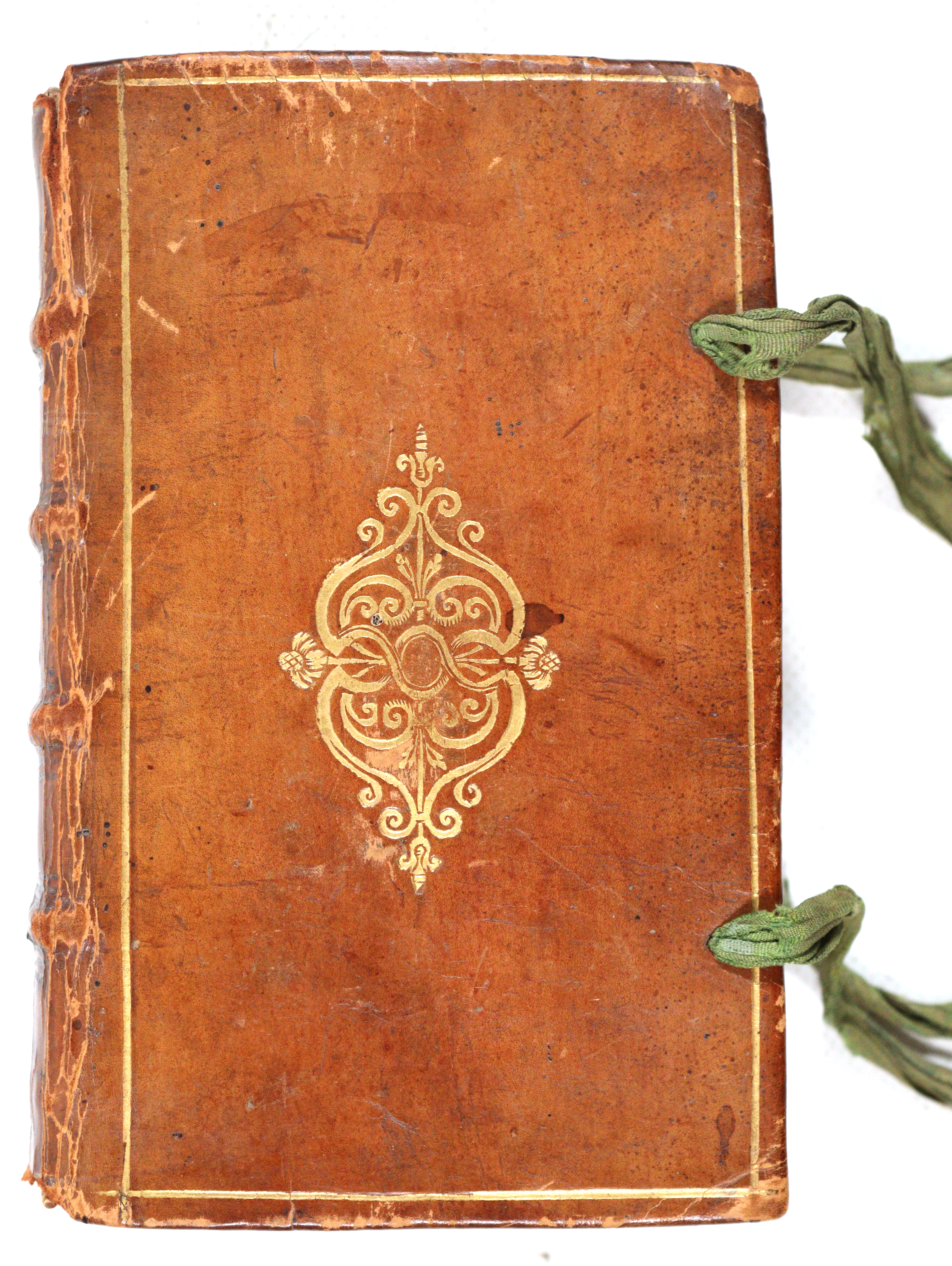 Canoniero (Canonherius),P.A. | Bild Nr.2