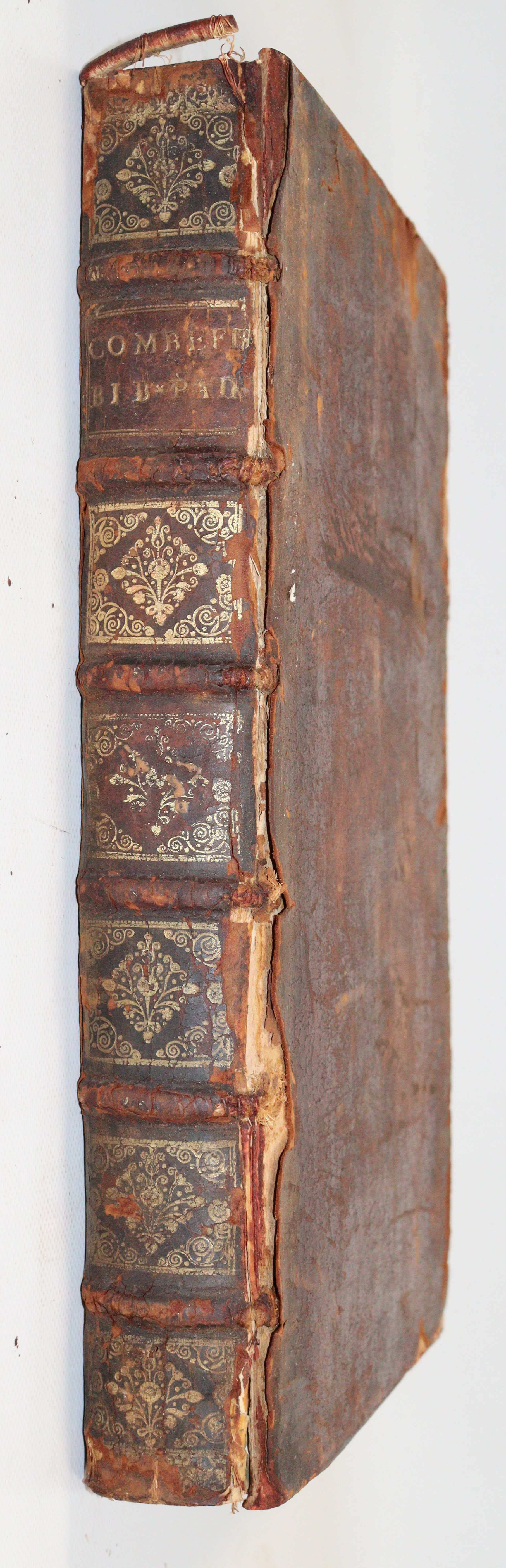 Combefis,F. | Bild Nr.2