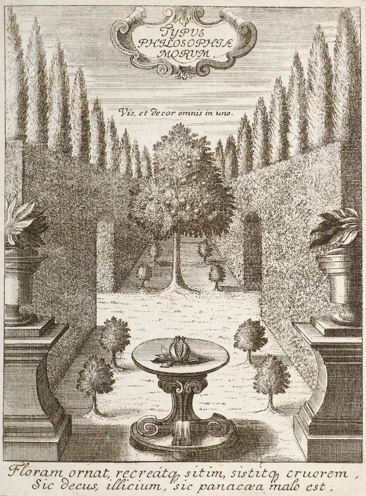 Vanossi,A. | Bild Nr.1