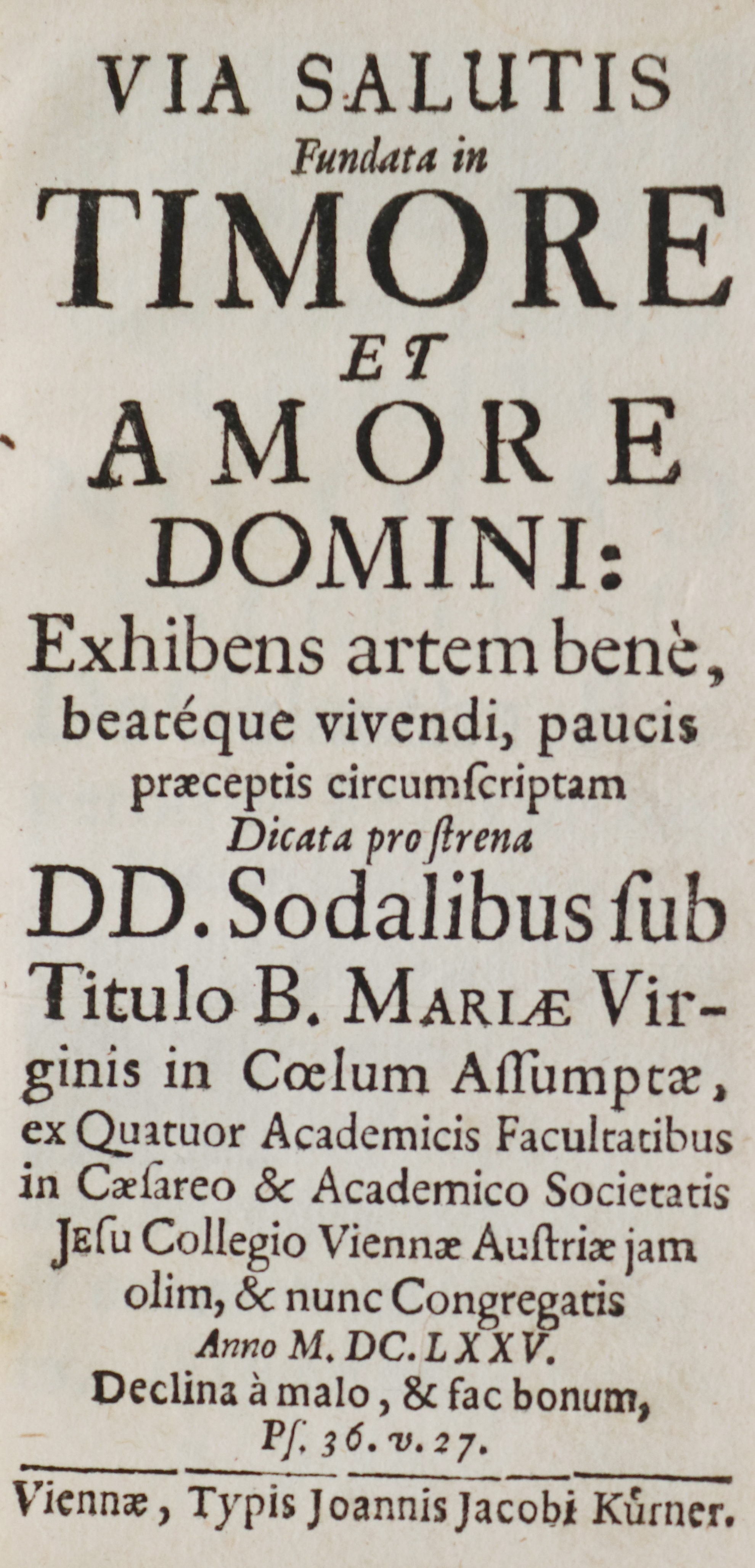 Via salutis fundata | Bild Nr.1