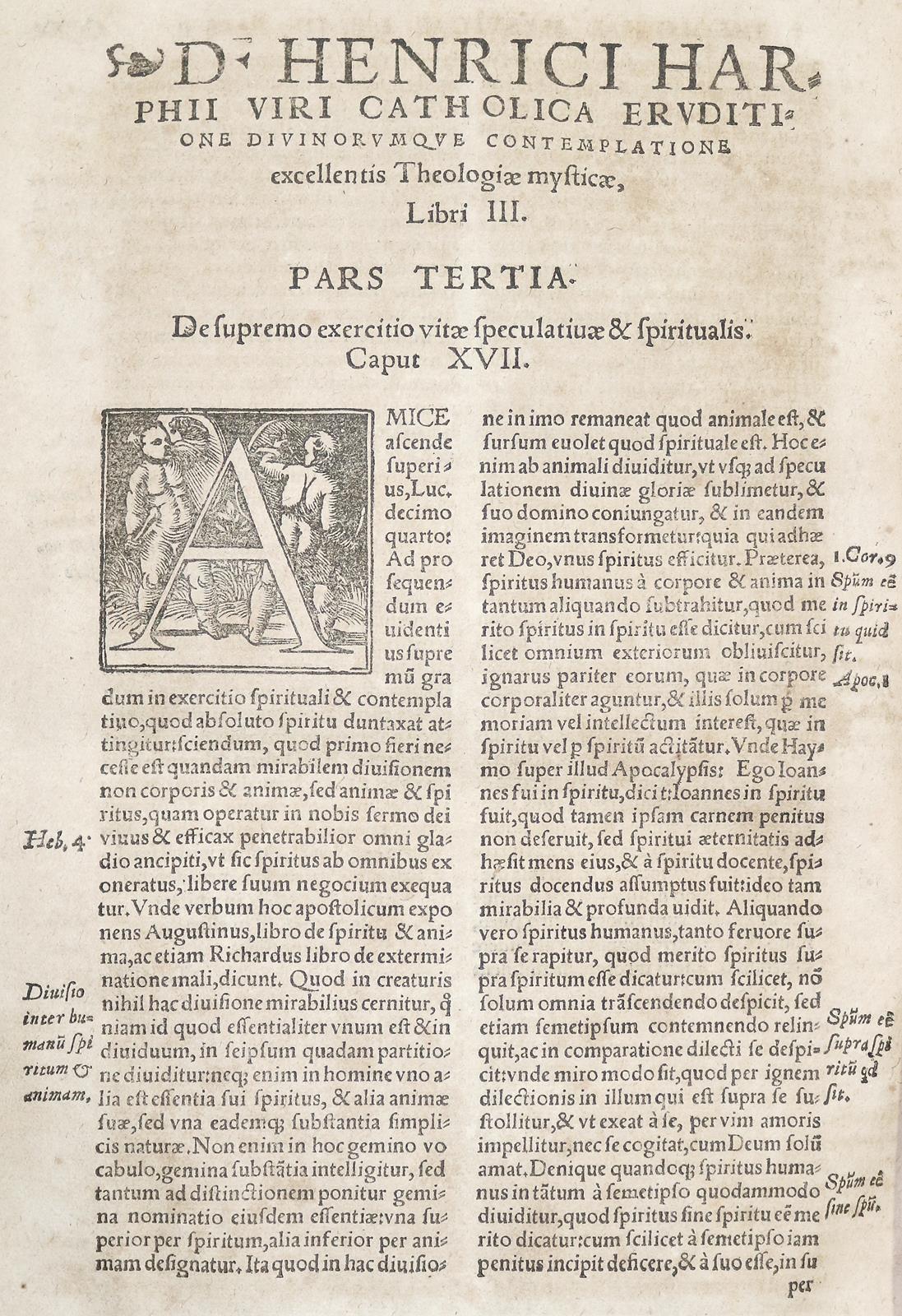 Herpius,H. | Bild Nr.2