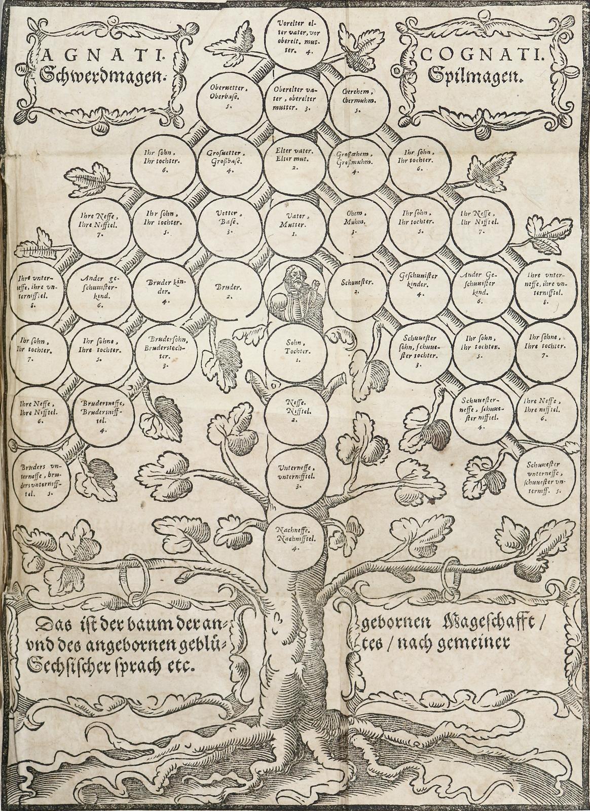 König,K. | Bild Nr.1