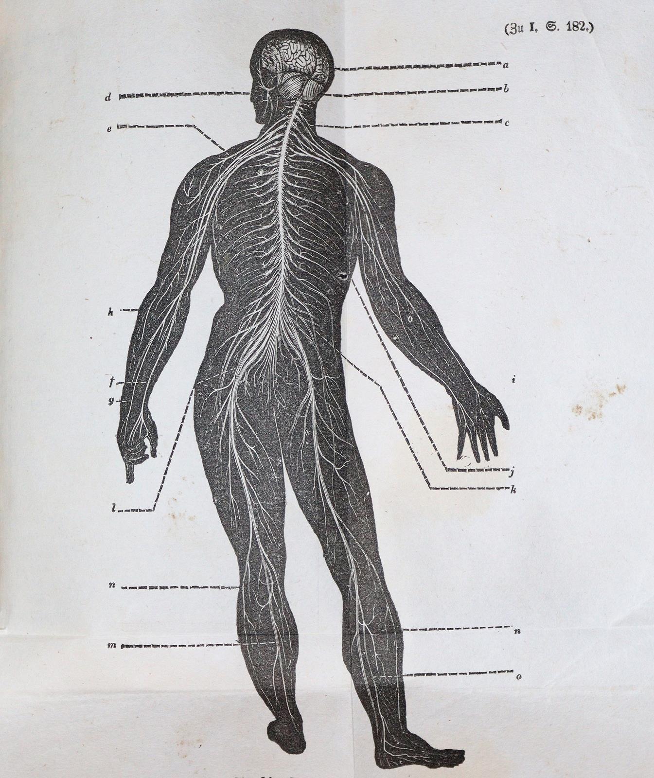 Konvolut | Bild Nr.2