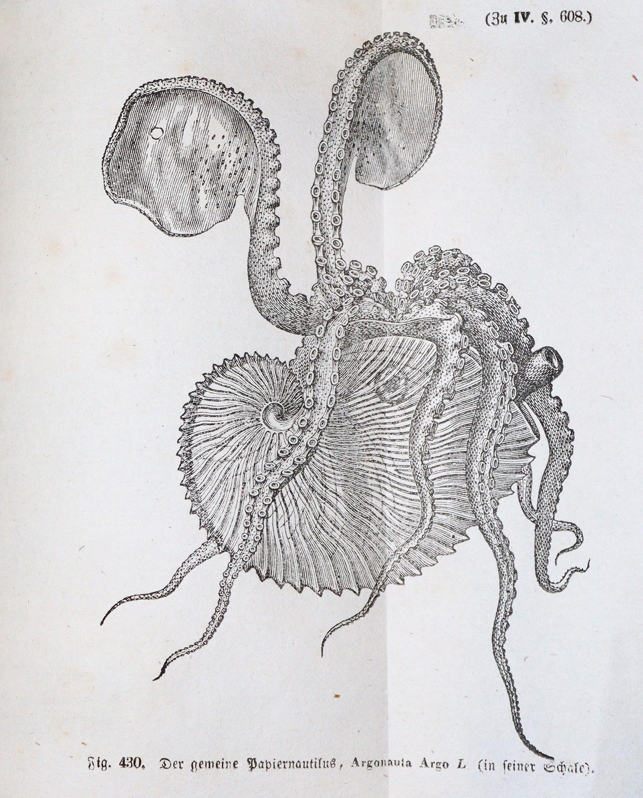 Konvolut | Bild Nr.4