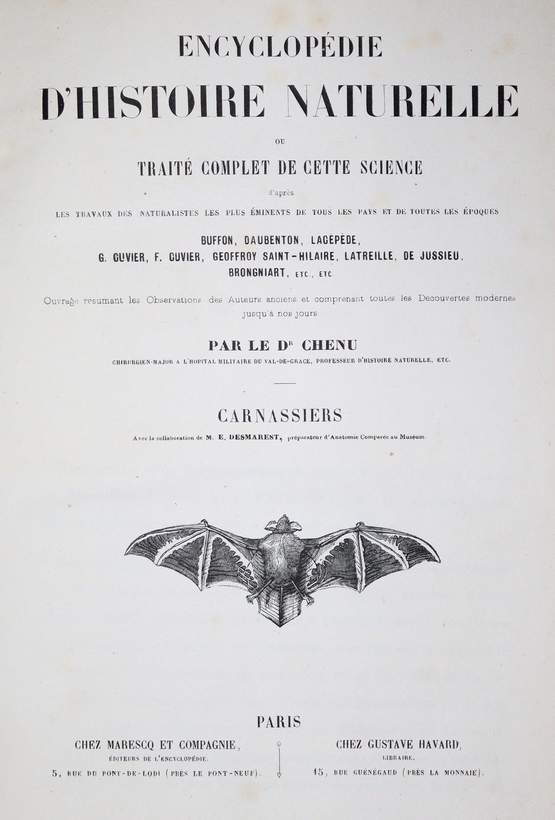 Konvolut | Bild Nr.1