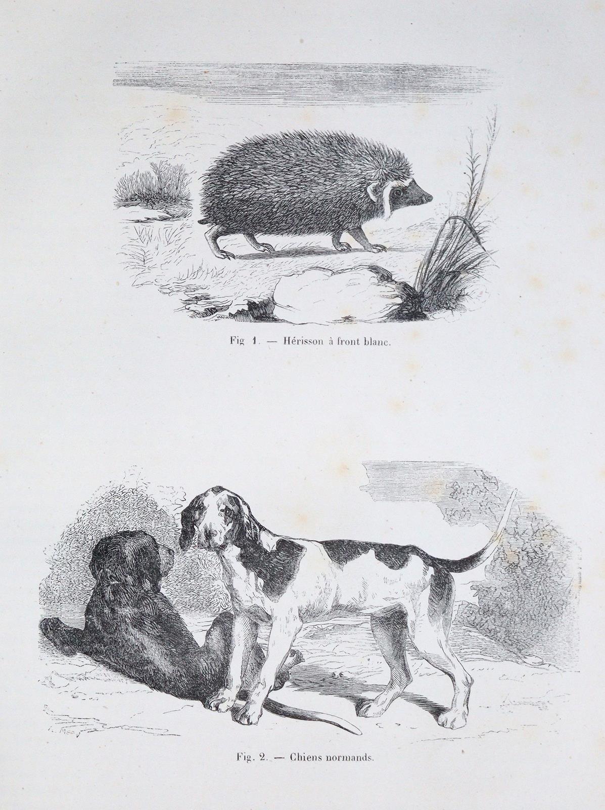 Konvolut | Bild Nr.2