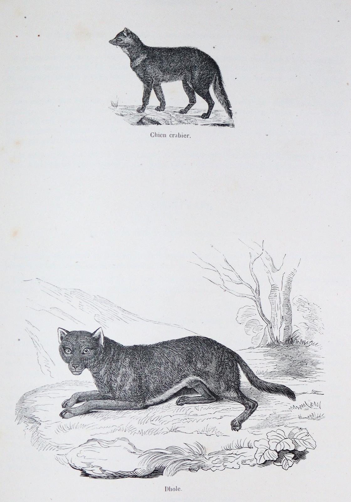 Konvolut | Bild Nr.3