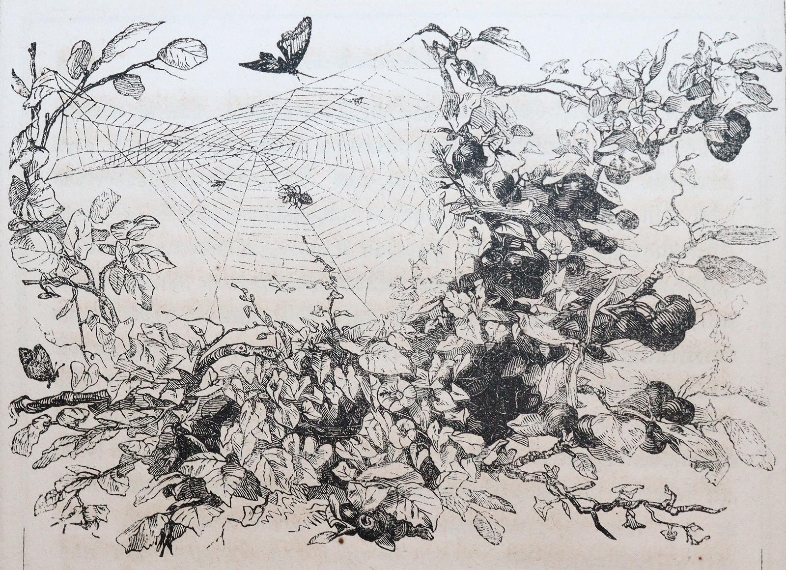 Konvolut | Bild Nr.5