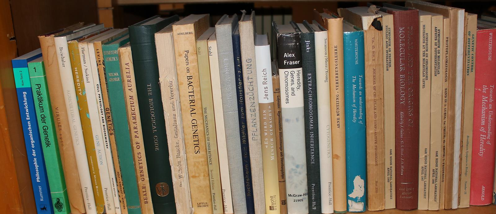 Konvolut | Bild Nr.4