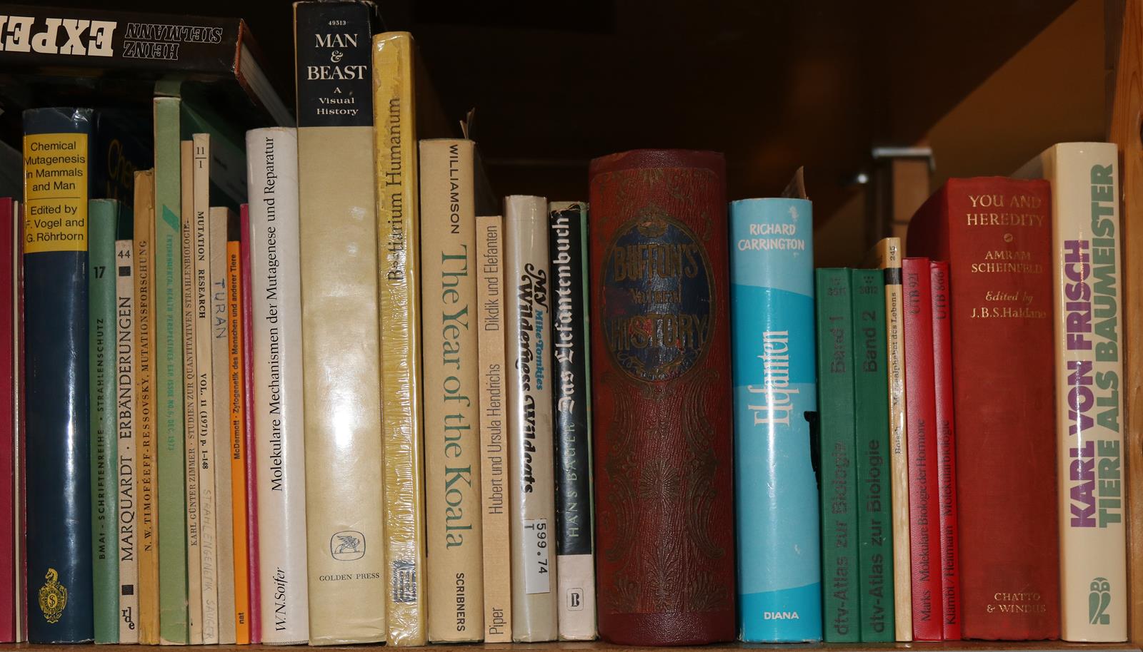 Konvolut | Bild Nr.7