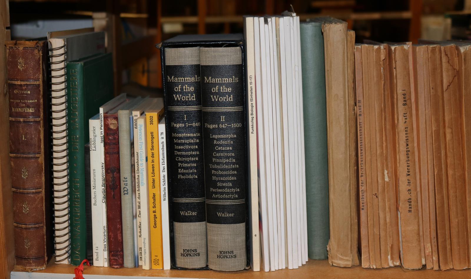 Konvolut | Bild Nr.8