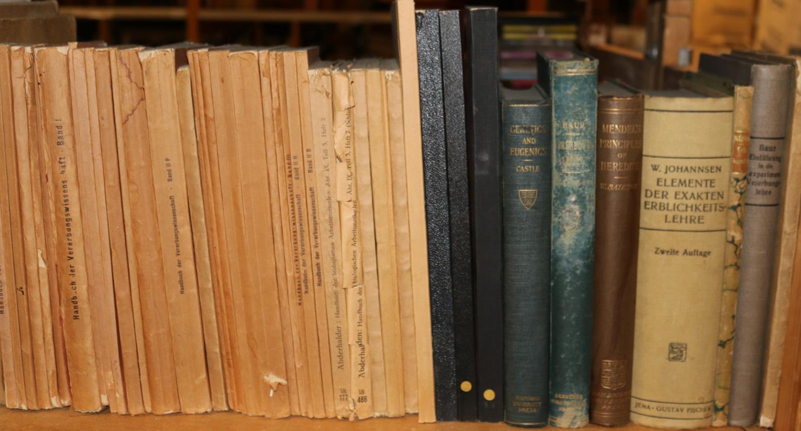 Konvolut | Bild Nr.9