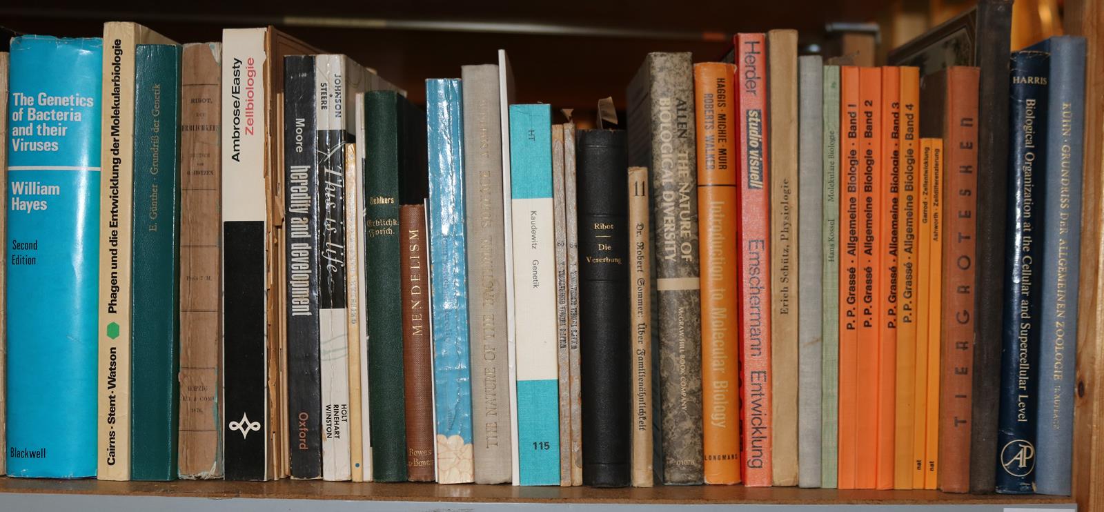 Konvolut | Bild Nr.11