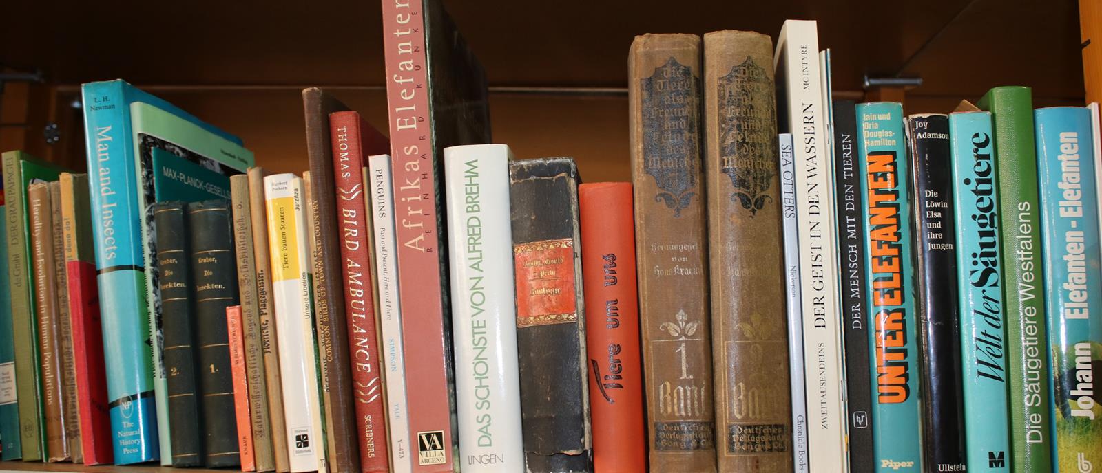 Konvolut | Bild Nr.13