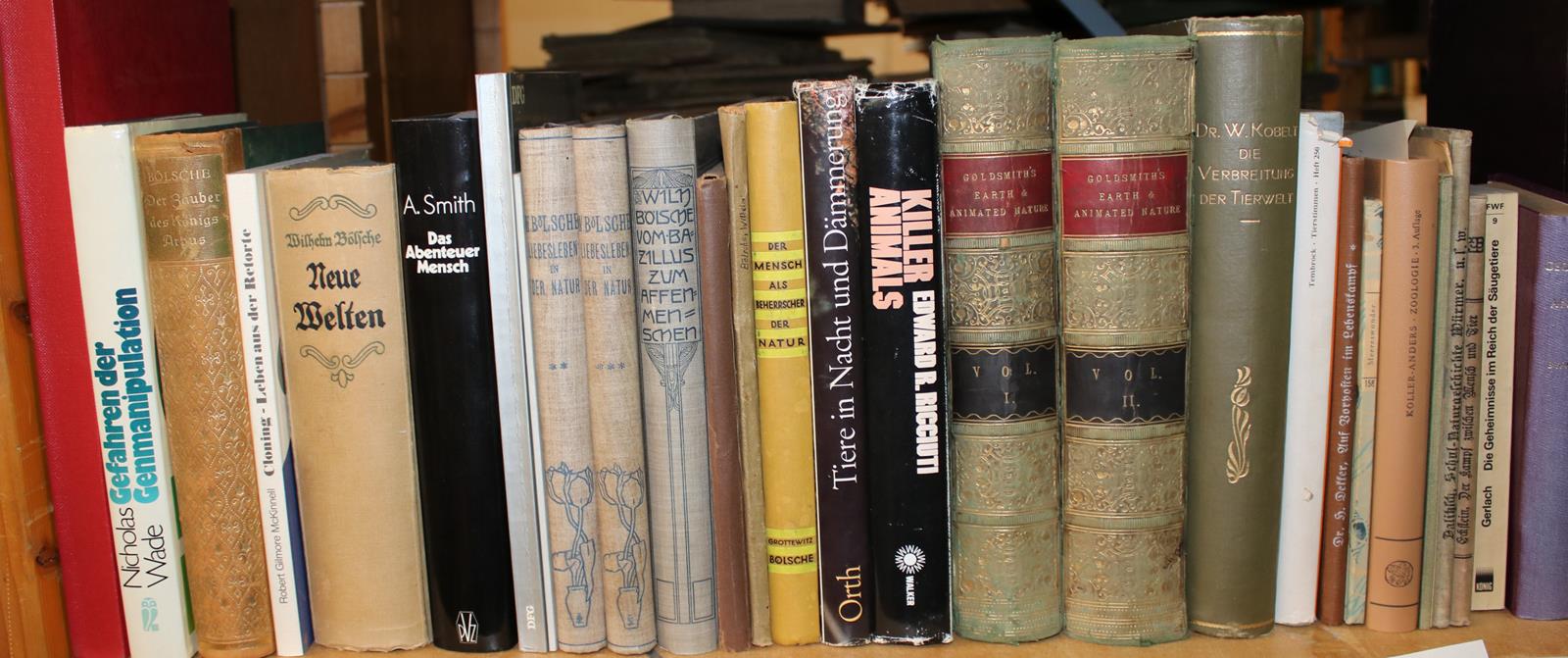 Konvolut | Bild Nr.17