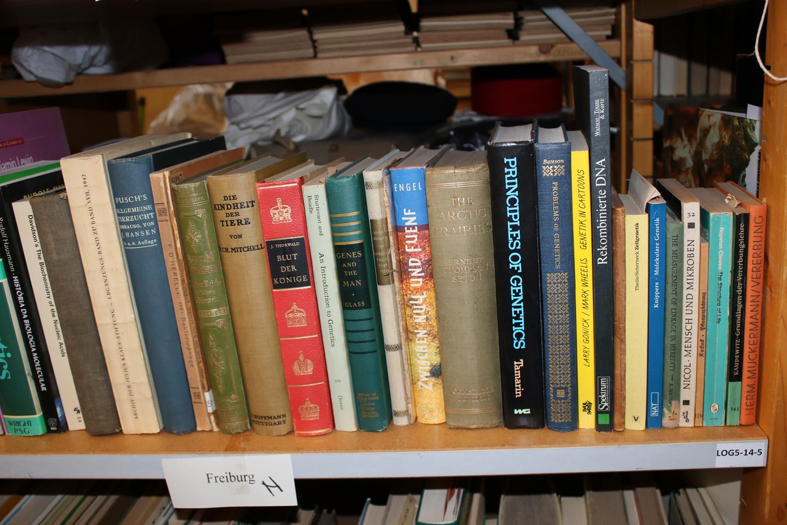 Konvolut | Bild Nr.20