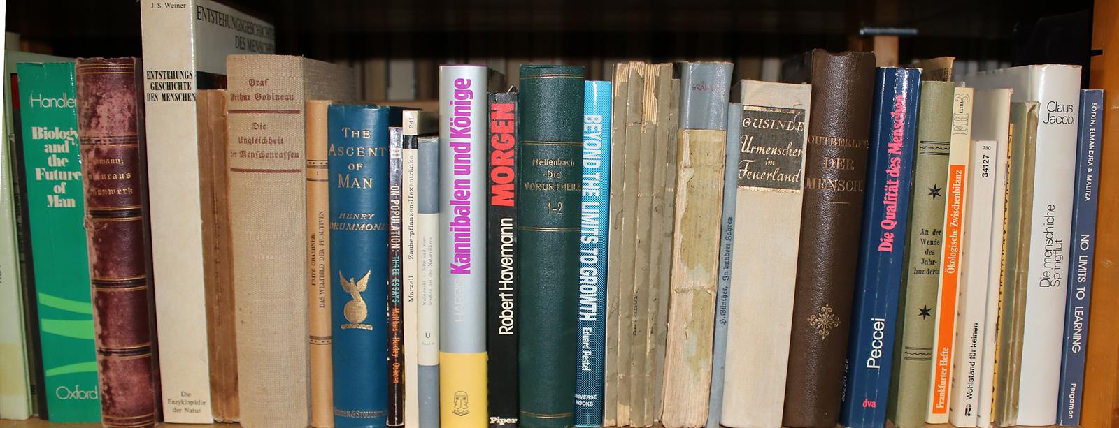 Konvolut | Bild Nr.21