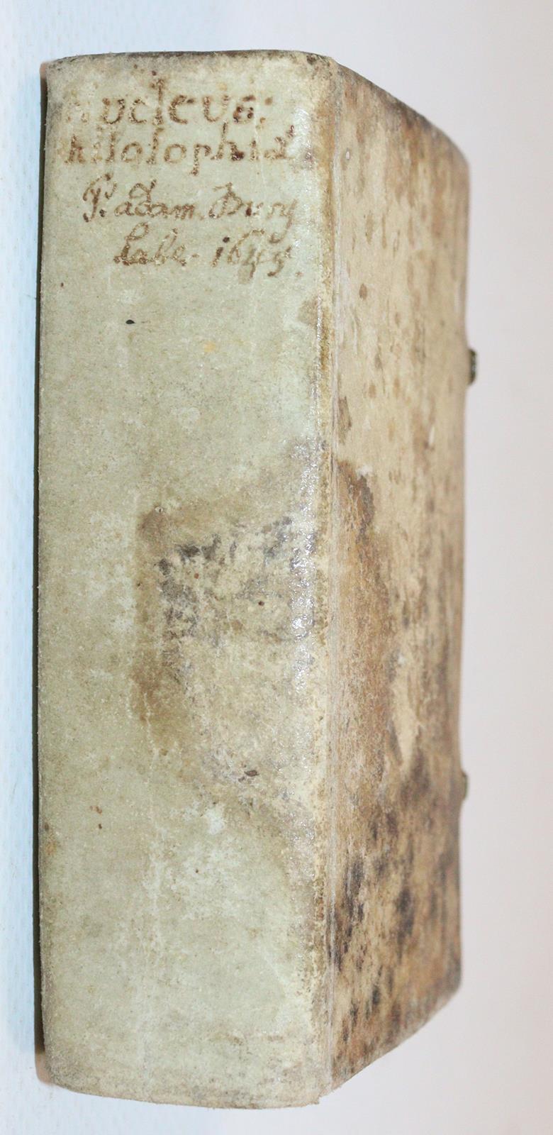 Schönhuber,F. | Bild Nr.2