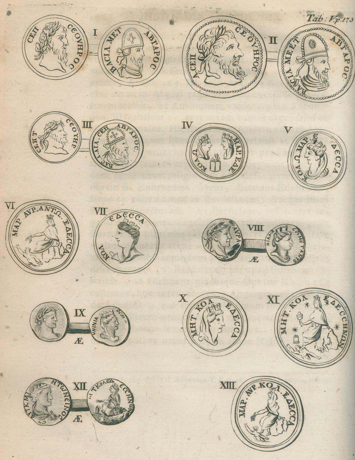 Bayer,T.S. | Bild Nr.2